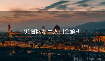91官网新手入门全解析
