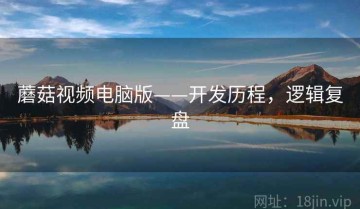 蘑菇视频电脑版——开发历程，逻辑复盘