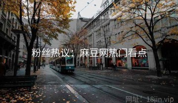 粉丝热议：麻豆网热门看点