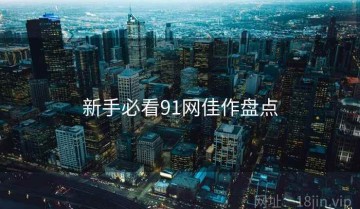 新手必看91网佳作盘点