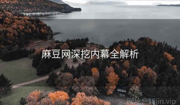 麻豆网深挖内幕全解析