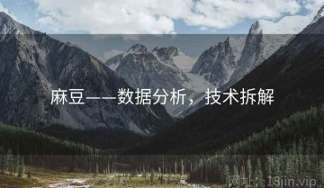 麻豆——数据分析，技术拆解