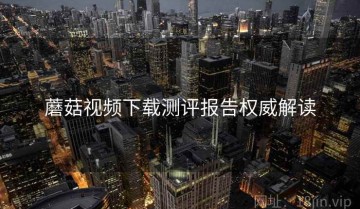 蘑菇视频下载测评报告权威解读