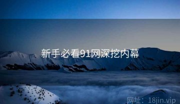 新手必看91网深挖内幕