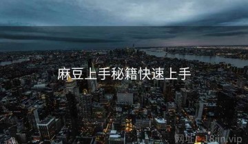麻豆上手秘籍快速上手