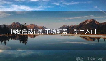 揭秘蘑菇视频市场前景，新手入门