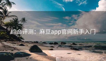 综合评测：麻豆app官网新手入门