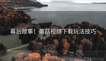 幕后故事！蘑菇视频下载玩法技巧