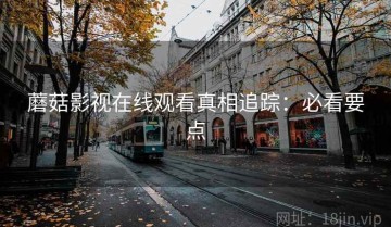 蘑菇影视在线观看真相追踪：必看要点