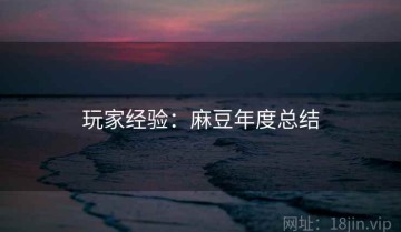 玩家经验：麻豆年度总结