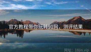 官方教程带你玩转91网，测评结果