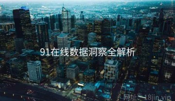 91在线数据洞察全解析
