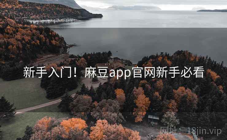 新手入门!麻豆app官网新手必看 新手入门!麻豆app官网新手必看
