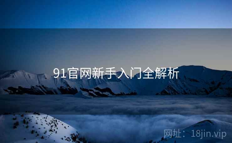 91官网新手入门全解析 91官网新手入门全解析