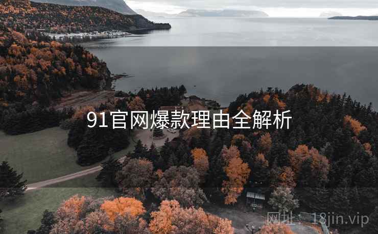 91官网爆款理由全解析 91官网爆款理由全解析