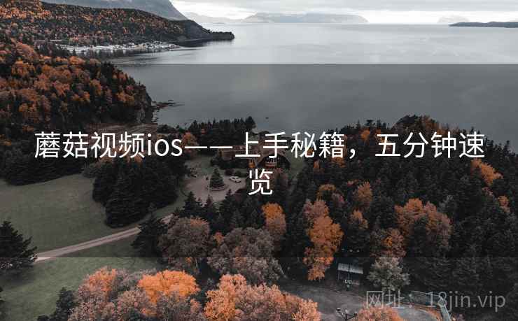 蘑菇视频ios——上手秘籍,五分钟速览 蘑菇视频ios——上手秘籍,五分钟速览
